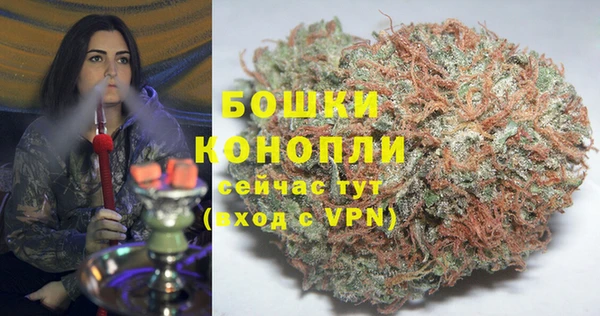 PSILOCYBIN Вязники