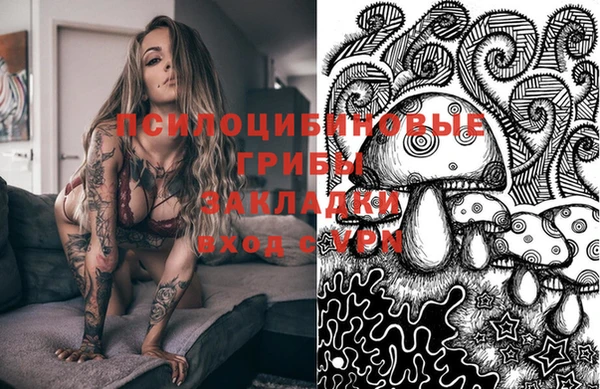 PSILOCYBIN Вязники