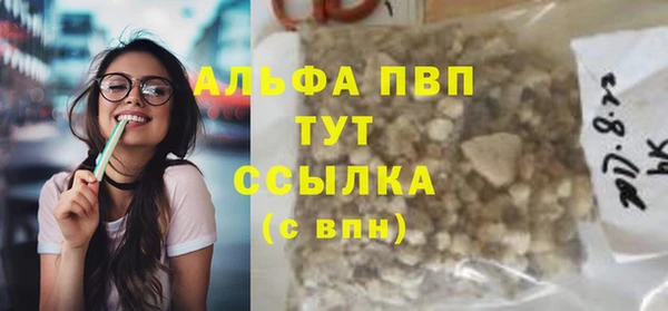PSILOCYBIN Вязники