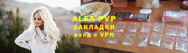 PSILOCYBIN Вязники