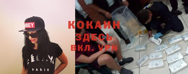 шишки Вяземский