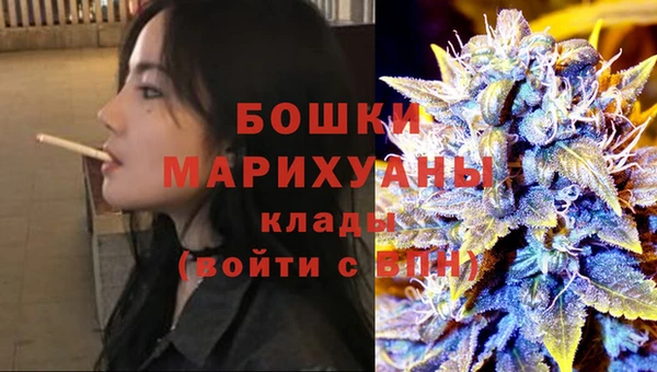 шишки Вяземский