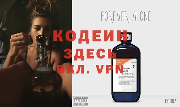 шишки Вяземский
