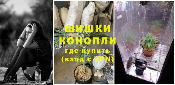 шишки Вяземский