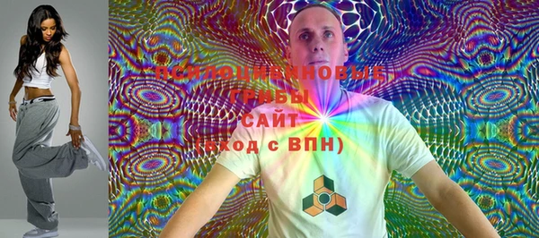 PSILOCYBIN Вязники