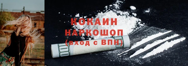 шишки Вяземский