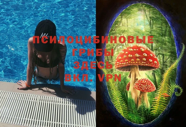 jwh Вязьма