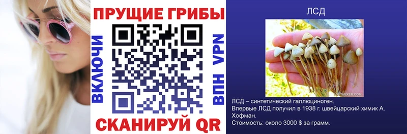 Галлюциногенные грибы Psilocybe  Купить  Кыштым 